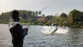 Amazing Barramundi Fishing with fishing rod Snakehead hunting snapper hunting@FISHINGWAROFFICIAL