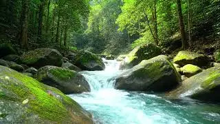 Relaxing River Water Sounds | Flowing Stream for Deep Sleep, Meditation & Stress Relief