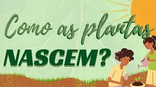 Como as plantas nascem?
