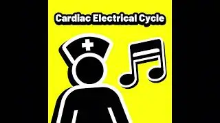 &ldquo;Cardiac Electrical Cycle&rdquo; - A Medical Song about Electro Physiology of the Heart