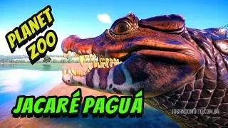 PLANET ZOO AQUATIC: O menor Jacaré do Mundo o JACARÉ PAGUÁ | Planet Zoo: Aquatic Pack Gameplay
