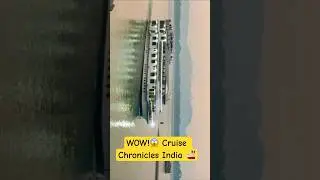 Party vibes on the Brahmaputra River 🌊🎉 Music, lights, and unforgettable moments! #CruiseLife #yt