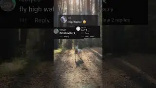 RIP Walter 😞 (watch full video) #shorts #sad #walter #dogs #meme #walterdog