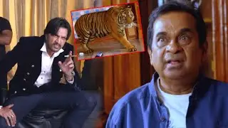 Sudeep, Brahmanandam Telugu Comedy Scene | Action 3D | Allari Naresh, Shaam, Sneha Ullal | iDream