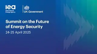 Shaping the Future of Energy Security Agenda &ndash; Targeting Key Risks and Opportunities