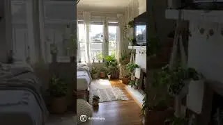 Boho-styled studio apartment full of plants! 🌿