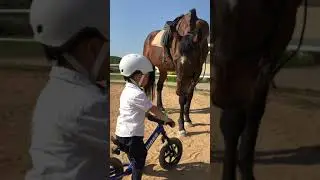 JUL2018 | Buddy first time in life met with horses