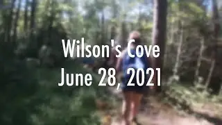 Wilson's Cove | Hardy County, West Virginia | June 2021