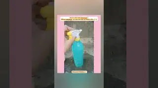 গাছ কে পোকা-মাকড় (Insects) ও লিলিবাগ (Lilybug)-এর থেকে রক্ষা করে এই উপাদান গুলি...🌱☺️#tree #plants