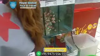 Hope Global- Tour & Travel (Aquarium China) Colorful fish