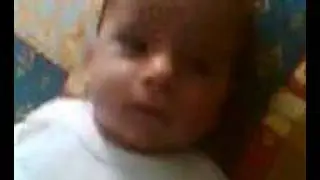 Nebi