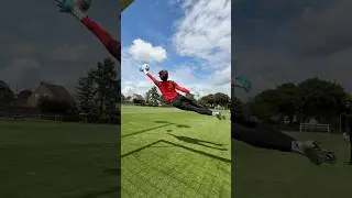 The Art of Goalkeeping 🎨 #goalkeeper #goalkeepertraining