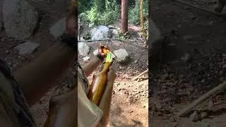 escopeta recortada calibre 16