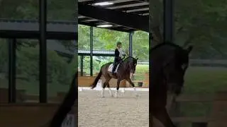 Insane in the best way possible #equestrianvibes #horse #dressage #equestrianjourney