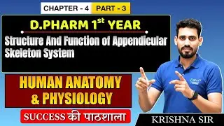 D.Pharm 1st Year | Human Anatomy & Physiology: Structure Appendicular Skeletal | Chap.4 (Part 3)
