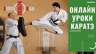 Приглашаем на онлайн-тренировки по каратэ до #karate #online #каратэ