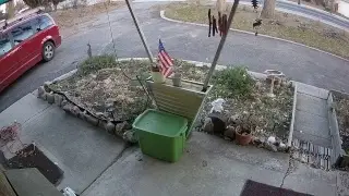 Denver Security Camera Live Stream