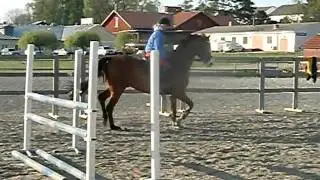 provridning 017