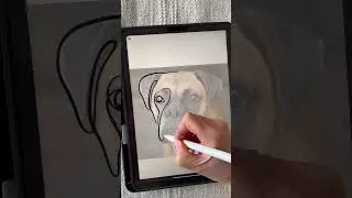 Learn how to make a one line drawing of a dog on procreate #howtodraw #dogdrawingeasy #dogdrawing