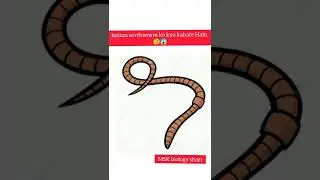 Indian earthworm ko kya kahate Hain 🤔😱 #MSK Biology #shorts