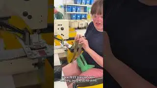 Tour Lions Services