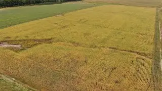 Gully Erosion Drone Footage
