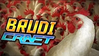 MEISTER DER H&Uuml;HNER! - Brudicraft #20 | Ardymon