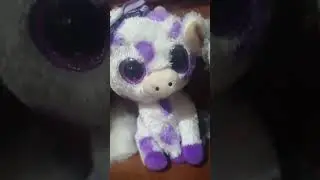 my collection vid @pup dog @inkys community'
