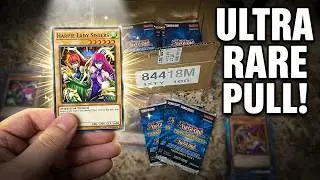 Speed Duel Tournament Pack 1 Case Round 2 | Hunting for Harpie Lady Sisters