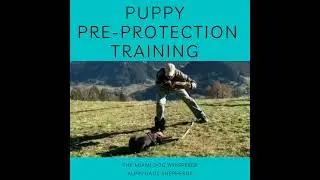 Puppy Protection Training