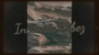 NBDY - SMN (PROD. JNTHN) (SLOWED)