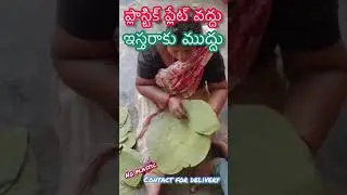 No Plastic | Go Green Leafy dinning plates