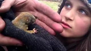 Coyote's Path Gets Squirrely