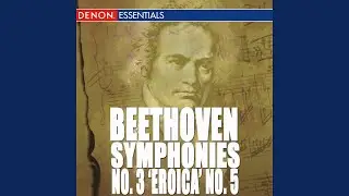 Symphony No. 5 in C Minor, Op. 67: II. Andante con moto