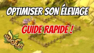OPTIMISER SON &Eacute;LEVAGE EN UNE VID&Eacute;O !