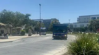 NCTD Buses at Escondido Transit Center