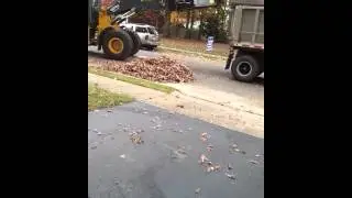 Leaf/brush pick up Hamilton NJ claw truck