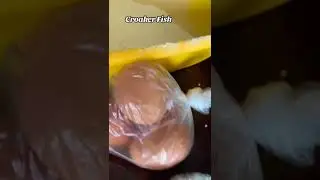 Me preparing croaker fish