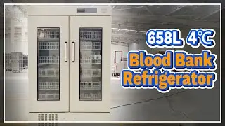 658L 4℃ Blood Bank Refrigerator - LABOAO