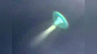 The Dutch Flying Jellyfish sings Circus Monster [Atmospheric Jellyfish/Cryptids]