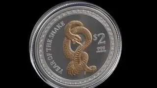 2013 Gilded Snake Proof 1 oz Silver Lunar Coin | Gainesville Coins