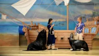 Conny Land - Sea Lion Theater