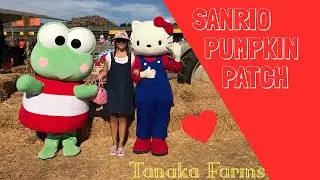 Sanrio Pumpkin Patch at Tanaka Farms