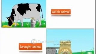 TECHNO Science class 8 - AGRICULTURE AND ANIMAL HUSBANDRY TECHNIQUES IN BREEDING OF COWS AND BUFF