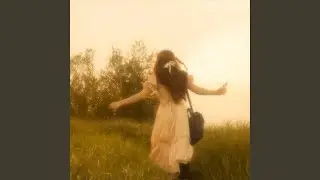 Circuit Reverie