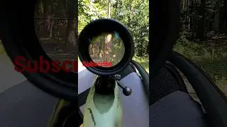 .22lr slo-mo scope cam shot #shortsvideo #hunting #viral