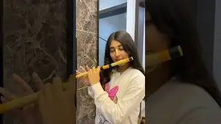 Shakti Hai Bhakti Hai | Mahabharat Theme Song | Bhagwat Geeta Gyaan  #flute #music #song #shorts