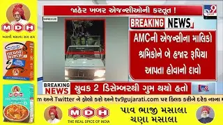 TV9 Exposes Illegal Tree Cutting in Ahmedabad for Billboard Visibility | Gujarat | TV9Gujarati