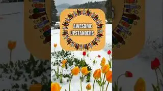 Spring Is Here - Celebrate Yourself