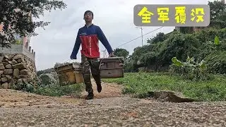 固定蜂场全军覆没，这次损失有点大了！